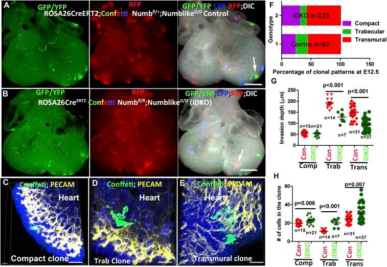 https://cdn.ncbi.nlm.nih.gov/pmc/blobs/8246/6681736/ce284aed8c45/pnas.1904684116fig03.jpg