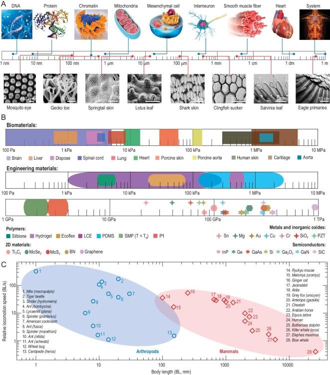 https://cdn.ncbi.nlm.nih.gov/pmc/blobs/8248/10833470/daf4fa068593/nwad314fig2.jpg