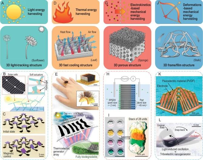 https://cdn.ncbi.nlm.nih.gov/pmc/blobs/8248/10833470/ec125fa4221d/nwad314fig4.jpg