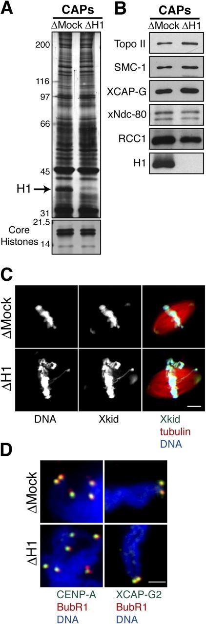 https://cdn.ncbi.nlm.nih.gov/pmc/blobs/8248/2171634/8dacba339226/200503031f5.jpg