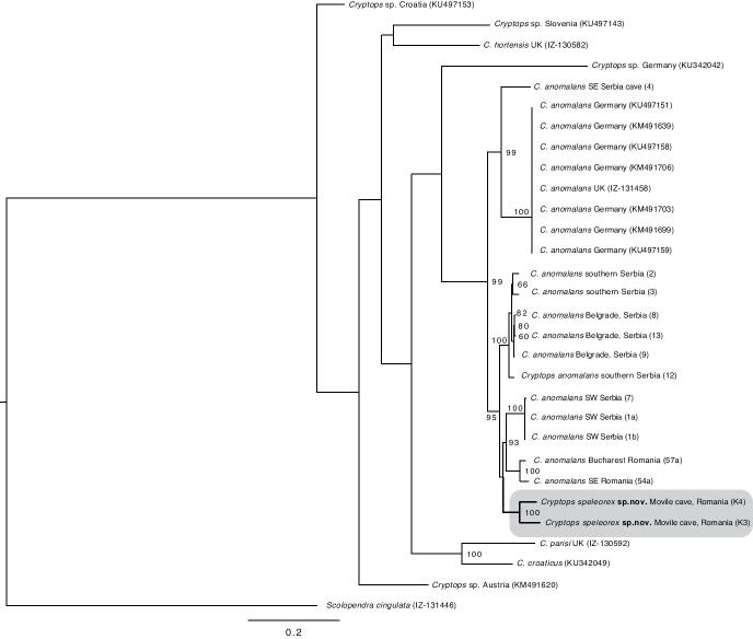 https://cdn.ncbi.nlm.nih.gov/pmc/blobs/8249/7758309/a364451463ed/zookeys-1004-001-g008.jpg