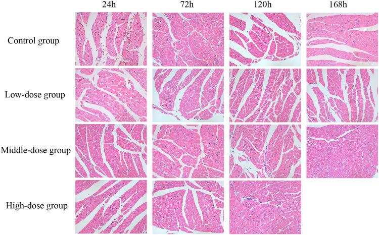 https://cdn.ncbi.nlm.nih.gov/pmc/blobs/824b/8901264/a5c2d06c94f1/JIR-15-1599-g0006.jpg