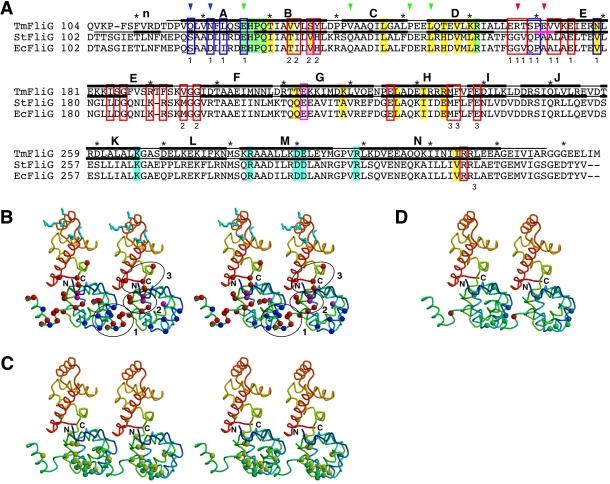 https://cdn.ncbi.nlm.nih.gov/pmc/blobs/824f/3091841/10bb40c78eac/pbio.1000616.g006.jpg
