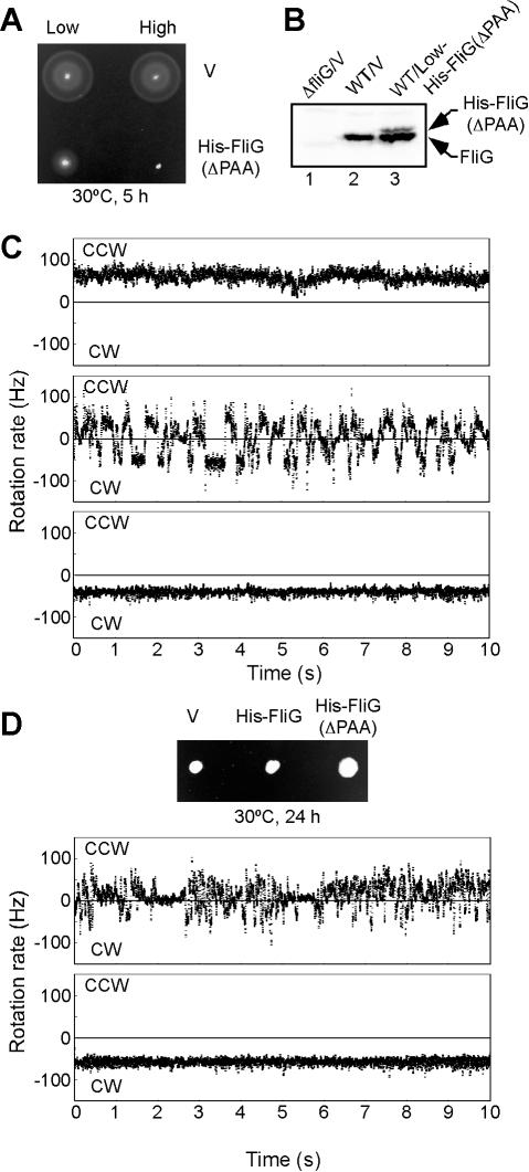 https://cdn.ncbi.nlm.nih.gov/pmc/blobs/824f/3091841/f15281707dfd/pbio.1000616.g001.jpg