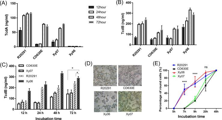 https://cdn.ncbi.nlm.nih.gov/pmc/blobs/8251/11527712/692bb5360e8e/fcimb-14-1412408-g004.jpg