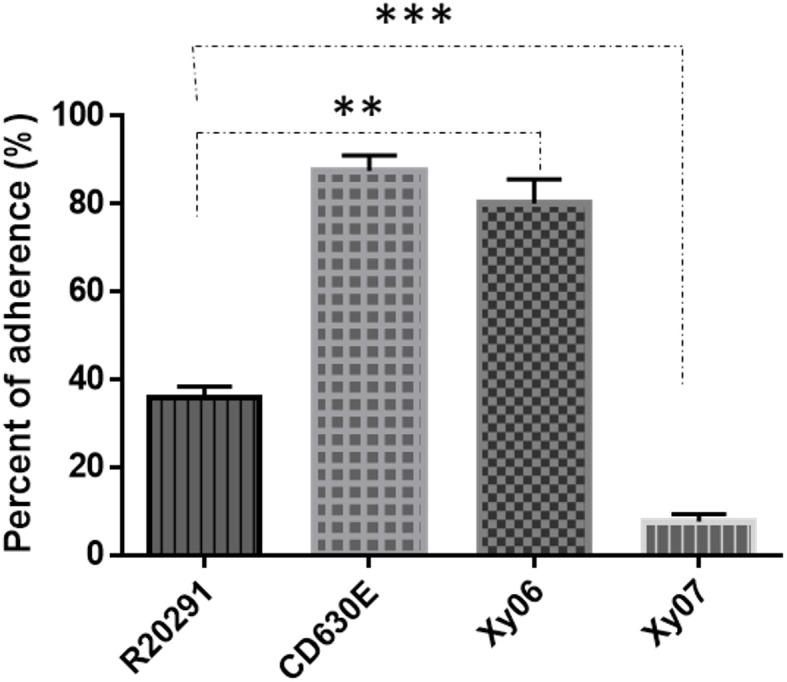 https://cdn.ncbi.nlm.nih.gov/pmc/blobs/8251/11527712/82e2f0de3e6e/fcimb-14-1412408-g005.jpg