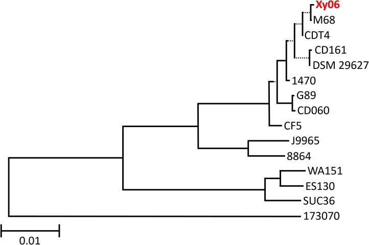 https://cdn.ncbi.nlm.nih.gov/pmc/blobs/8251/11527712/8cdf1663bf0c/fcimb-14-1412408-g001.jpg