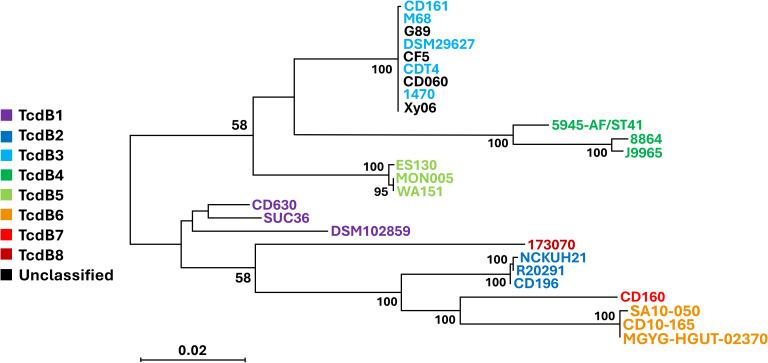 https://cdn.ncbi.nlm.nih.gov/pmc/blobs/8251/11527712/bd80c2165581/fcimb-14-1412408-g003.jpg