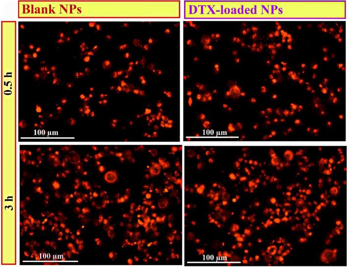 https://cdn.ncbi.nlm.nih.gov/pmc/blobs/8252/11349913/9b85b760faa1/41598_2024_57296_Fig10_HTML.jpg