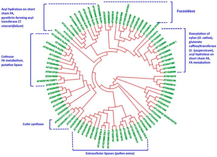 https://cdn.ncbi.nlm.nih.gov/pmc/blobs/8253/5750633/f15dee02c73b/plants-06-00057-g004.jpg