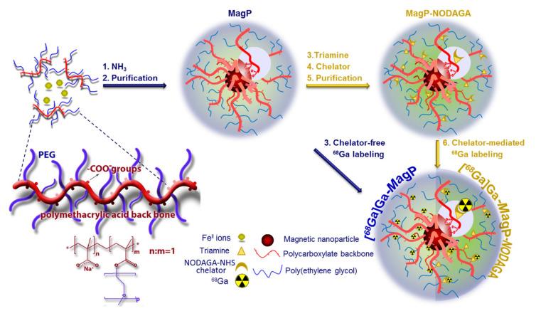https://cdn.ncbi.nlm.nih.gov/pmc/blobs/8253/8307582/246ff325797f/nanomaterials-11-01677-g001.jpg