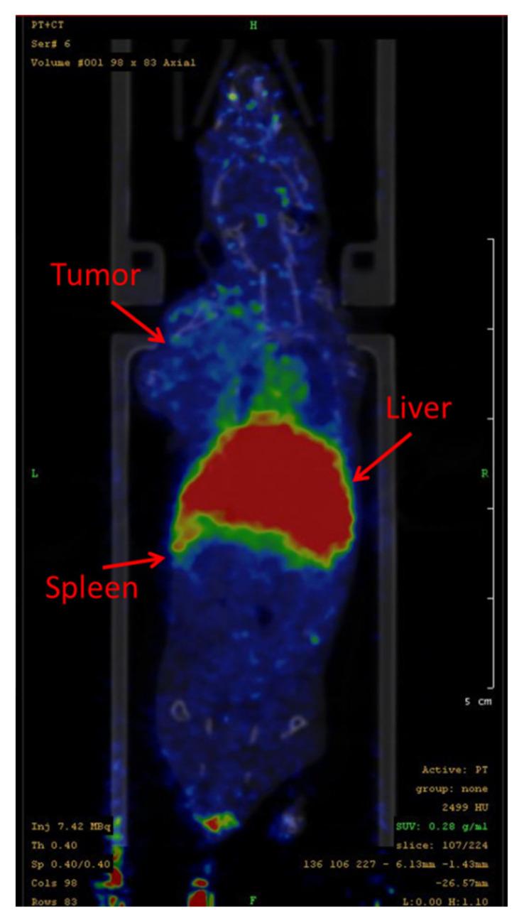 https://cdn.ncbi.nlm.nih.gov/pmc/blobs/8253/8307582/97b94d03b399/nanomaterials-11-01677-sch001.jpg