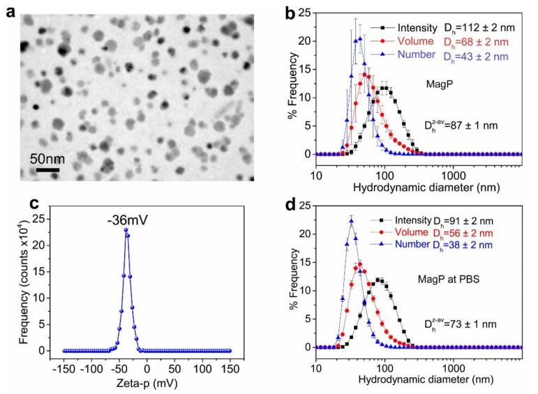 https://cdn.ncbi.nlm.nih.gov/pmc/blobs/8253/8307582/fe02328657b3/nanomaterials-11-01677-g002.jpg
