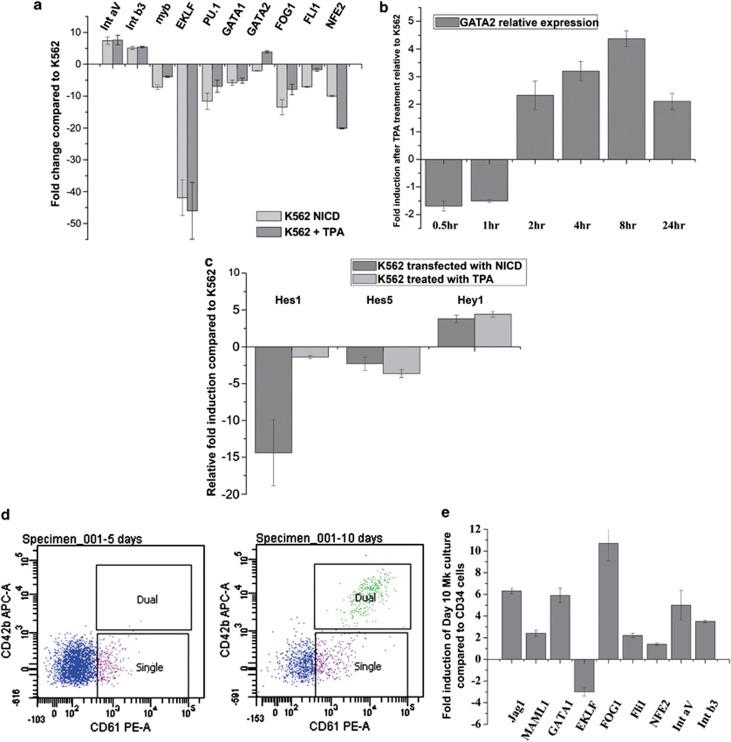 https://cdn.ncbi.nlm.nih.gov/pmc/blobs/8254/3434659/32628c5cda7c/cddis2012119f2.jpg
