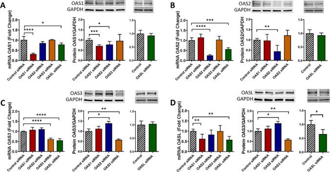 https://cdn.ncbi.nlm.nih.gov/pmc/blobs/8255/10415450/3c1cae1d7ca2/12035_2023_3381_Fig6_HTML.jpg
