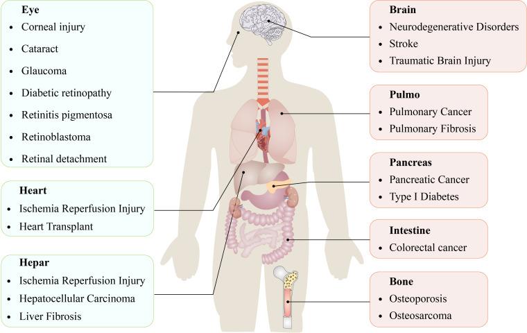 https://cdn.ncbi.nlm.nih.gov/pmc/blobs/8257/11236620/528a7ce9dc04/fimmu-15-1440309-g001.jpg