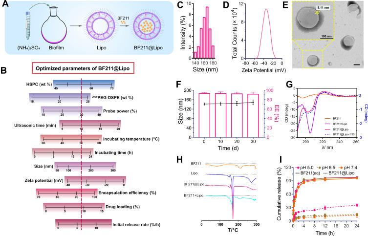 https://cdn.ncbi.nlm.nih.gov/pmc/blobs/8257/8165102/8c2886b6f462/IJN-16-3581-g0002.jpg