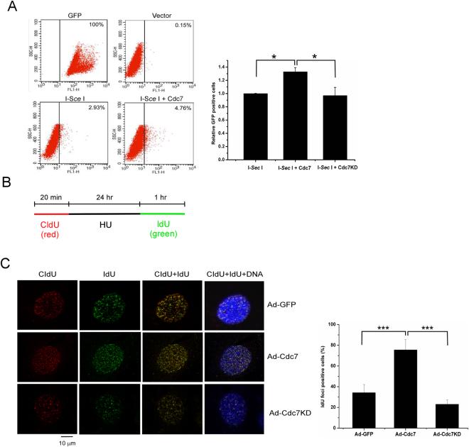 https://cdn.ncbi.nlm.nih.gov/pmc/blobs/825a/5717001/1dce2b8bc81c/41598_2017_17126_Fig3_HTML.jpg