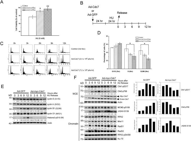 https://cdn.ncbi.nlm.nih.gov/pmc/blobs/825a/5717001/3419c20de055/41598_2017_17126_Fig2_HTML.jpg