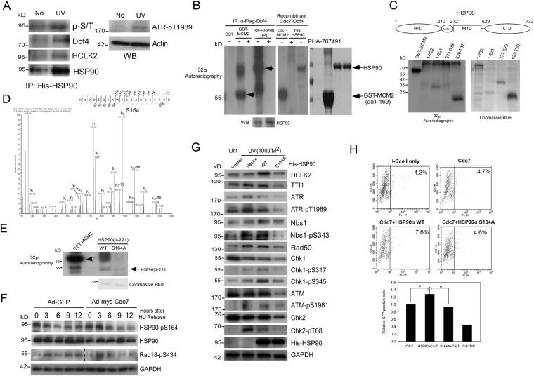 https://cdn.ncbi.nlm.nih.gov/pmc/blobs/825a/5717001/72f4d1b82348/41598_2017_17126_Fig4_HTML.jpg