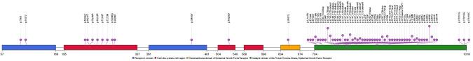 https://cdn.ncbi.nlm.nih.gov/pmc/blobs/825b/11225051/022a3e98c2c8/tlcr-13-06-1296-f2.jpg