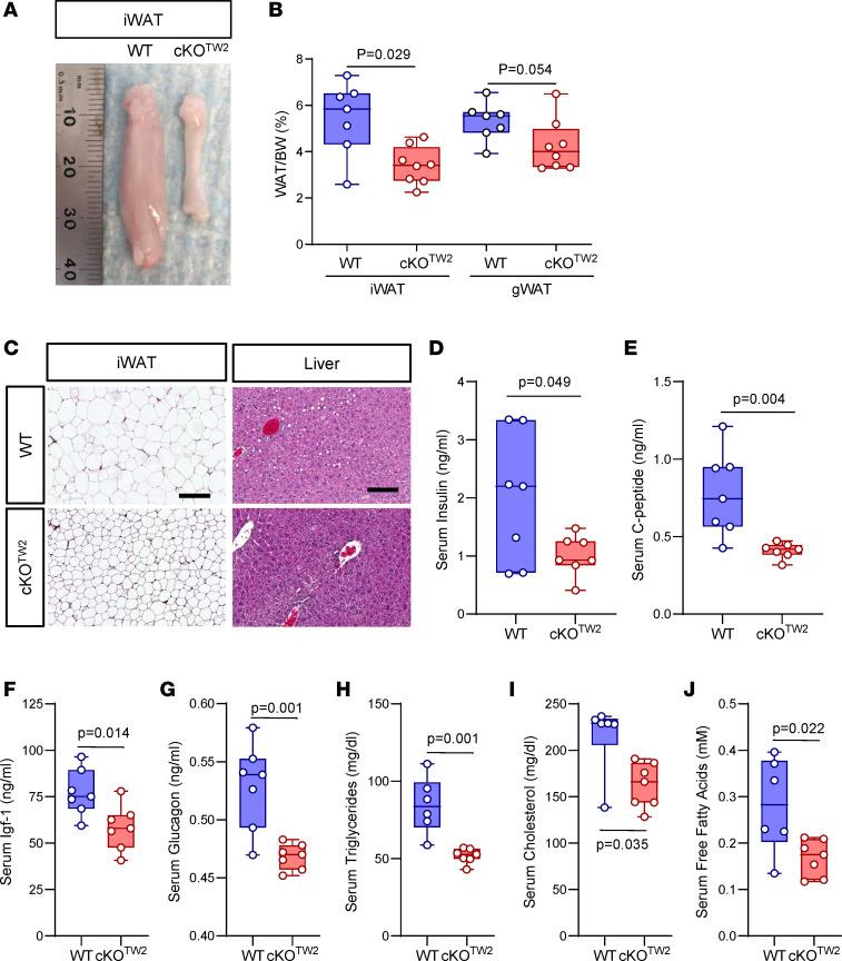 https://cdn.ncbi.nlm.nih.gov/pmc/blobs/825f/11063945/e24ce6fdeba9/jciinsight-9-170016-g062.jpg