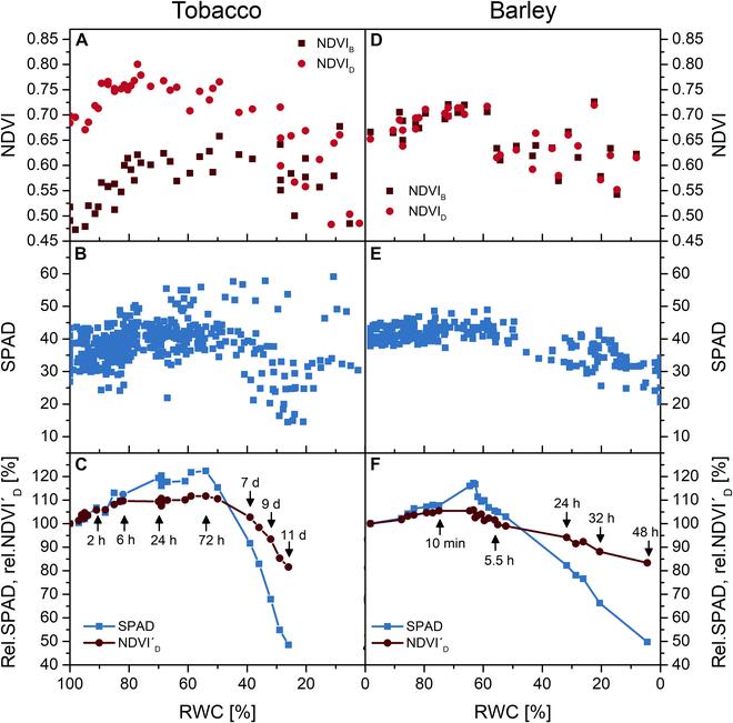 https://cdn.ncbi.nlm.nih.gov/pmc/blobs/8260/11358408/a27768802df5/plantphenomics.0243.fig.005.jpg