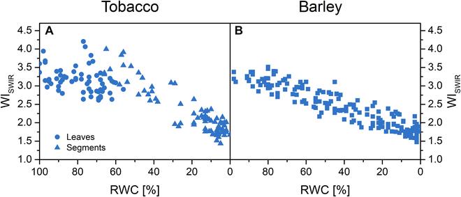 https://cdn.ncbi.nlm.nih.gov/pmc/blobs/8260/11358408/fb971067e1e0/plantphenomics.0243.fig.003.jpg