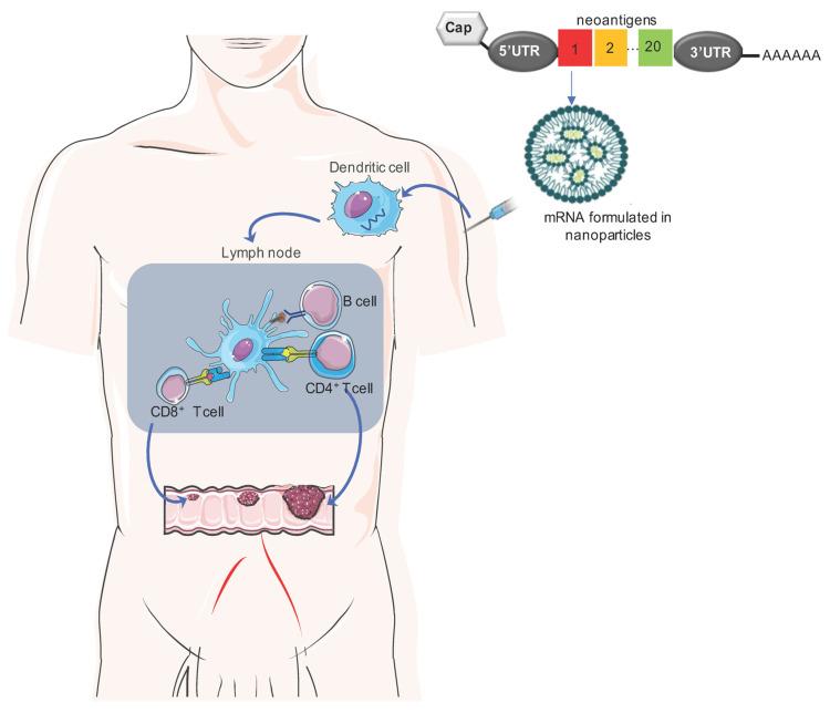 https://cdn.ncbi.nlm.nih.gov/pmc/blobs/8262/10611059/9ae0ba7542ed/vaccines-11-01599-g001.jpg