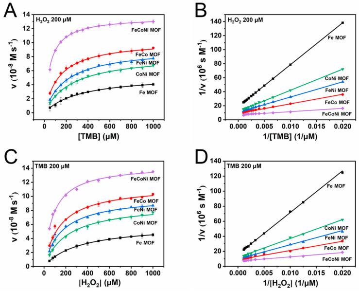 https://cdn.ncbi.nlm.nih.gov/pmc/blobs/8263/11356859/25dffe23c9ac/molecules-29-03739-g005.jpg