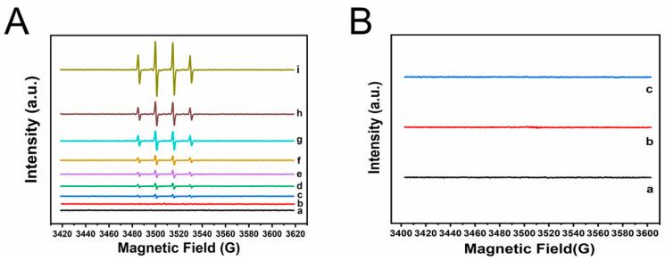 https://cdn.ncbi.nlm.nih.gov/pmc/blobs/8263/11356859/4ab7aa0b421c/molecules-29-03739-g004.jpg