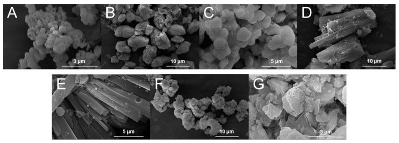 https://cdn.ncbi.nlm.nih.gov/pmc/blobs/8263/11356859/c8a4fa2cb188/molecules-29-03739-g001.jpg