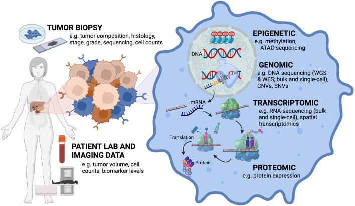 https://cdn.ncbi.nlm.nih.gov/pmc/blobs/8264/11169904/9f798def6e62/fgene-15-1383676-g001.jpg