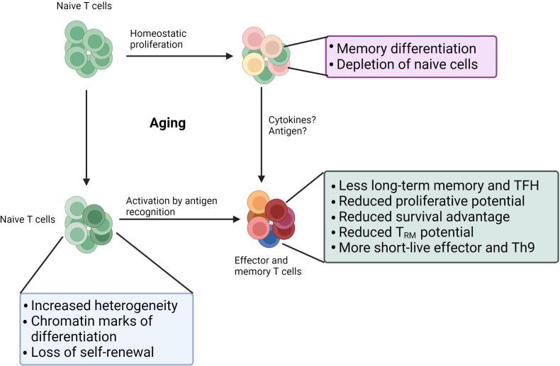 https://cdn.ncbi.nlm.nih.gov/pmc/blobs/8265/10110977/2e5550c61b94/fimmu-14-1154699-g001.jpg