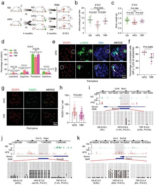 https://cdn.ncbi.nlm.nih.gov/pmc/blobs/8268/11321662/24d508fb2c41/ADVS-11-2309184-g002.jpg