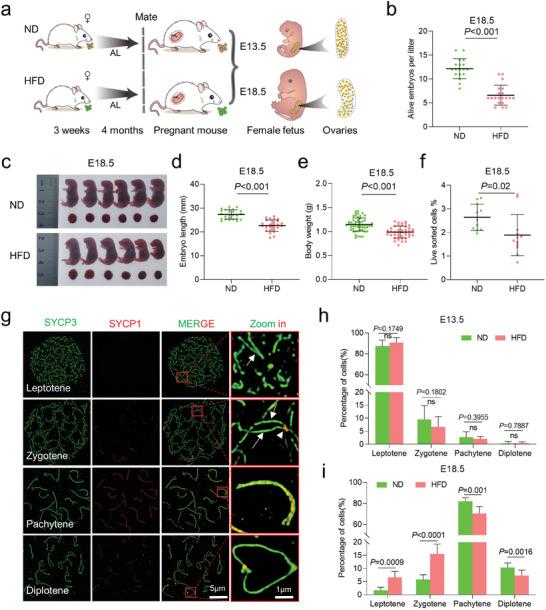 https://cdn.ncbi.nlm.nih.gov/pmc/blobs/8268/11321662/a730ccdfebff/ADVS-11-2309184-g008.jpg