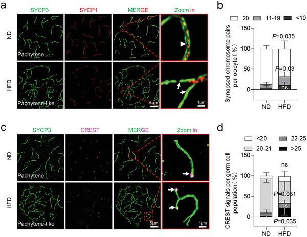 https://cdn.ncbi.nlm.nih.gov/pmc/blobs/8268/11321662/bc69ef245bb4/ADVS-11-2309184-g007.jpg