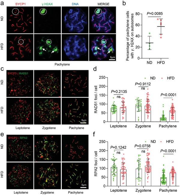 https://cdn.ncbi.nlm.nih.gov/pmc/blobs/8268/11321662/ff85bbbf8707/ADVS-11-2309184-g005.jpg