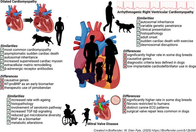 https://cdn.ncbi.nlm.nih.gov/pmc/blobs/8268/12272484/8a7ea98c62a3/ga1.jpg