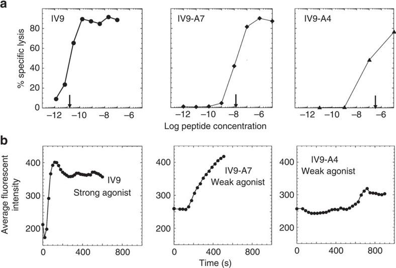https://cdn.ncbi.nlm.nih.gov/pmc/blobs/826c/5095286/0de8ea581fa5/ncomms13264-f3.jpg