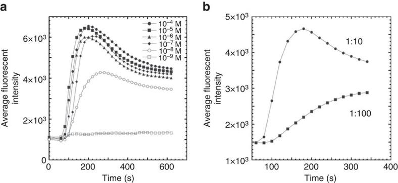 https://cdn.ncbi.nlm.nih.gov/pmc/blobs/826c/5095286/6d42c36bfdf7/ncomms13264-f4.jpg