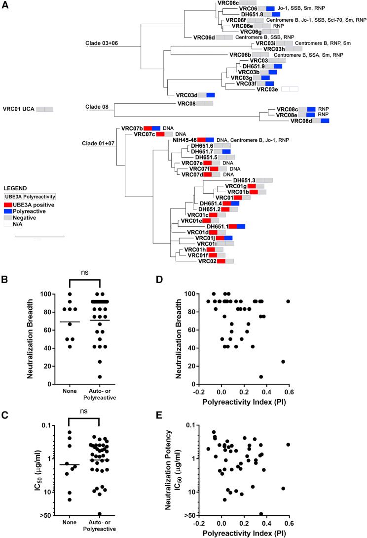 https://cdn.ncbi.nlm.nih.gov/pmc/blobs/826c/6303191/23f12aee2234/gr7.jpg
