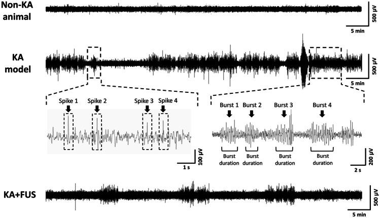 https://cdn.ncbi.nlm.nih.gov/pmc/blobs/826c/9587190/1a0d04f466c3/13311_2022_1250_Fig4_HTML.jpg