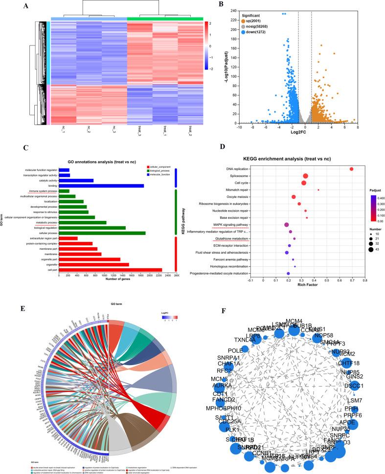 https://cdn.ncbi.nlm.nih.gov/pmc/blobs/826e/11097533/0170665d8afb/12951_2024_2515_Fig5_HTML.jpg