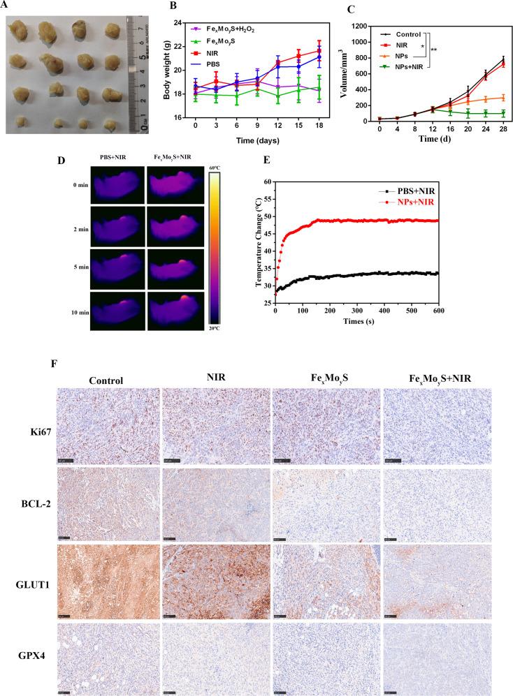 https://cdn.ncbi.nlm.nih.gov/pmc/blobs/826e/11097533/b073acd869f5/12951_2024_2515_Fig7_HTML.jpg