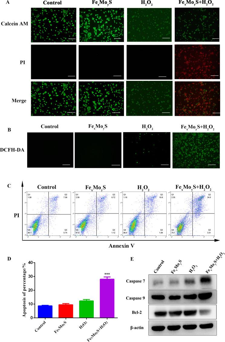 https://cdn.ncbi.nlm.nih.gov/pmc/blobs/826e/11097533/b0b1d59a2c0b/12951_2024_2515_Fig4_HTML.jpg