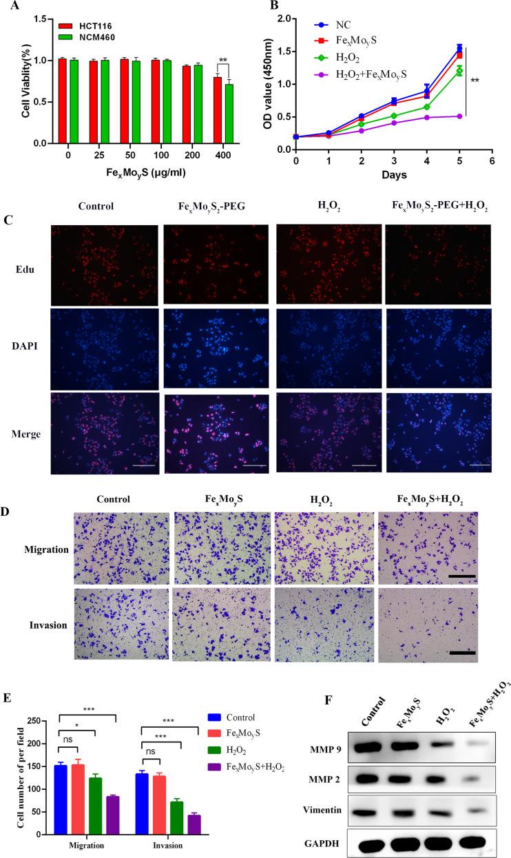 https://cdn.ncbi.nlm.nih.gov/pmc/blobs/826e/11097533/becd034e7380/12951_2024_2515_Fig3_HTML.jpg