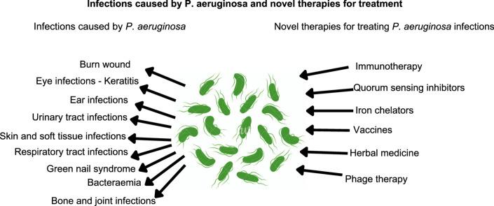 https://cdn.ncbi.nlm.nih.gov/pmc/blobs/826f/10699684/3d9f57841e5c/ga1.jpg