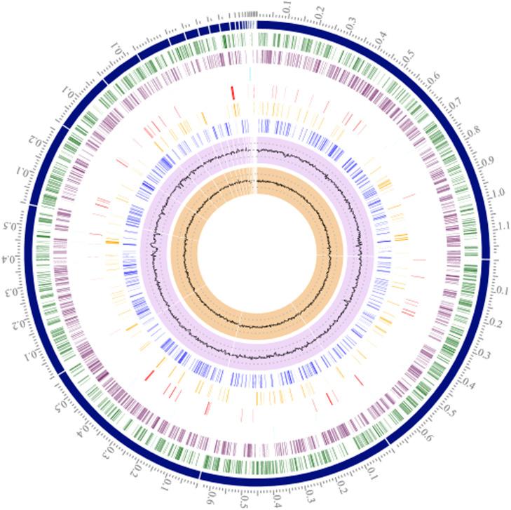 https://cdn.ncbi.nlm.nih.gov/pmc/blobs/826f/10699684/41f3618e613e/gr1.jpg