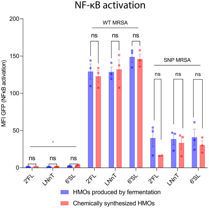 https://cdn.ncbi.nlm.nih.gov/pmc/blobs/8270/11187579/44d86f31acf9/fimmu-15-1379042-g006.jpg